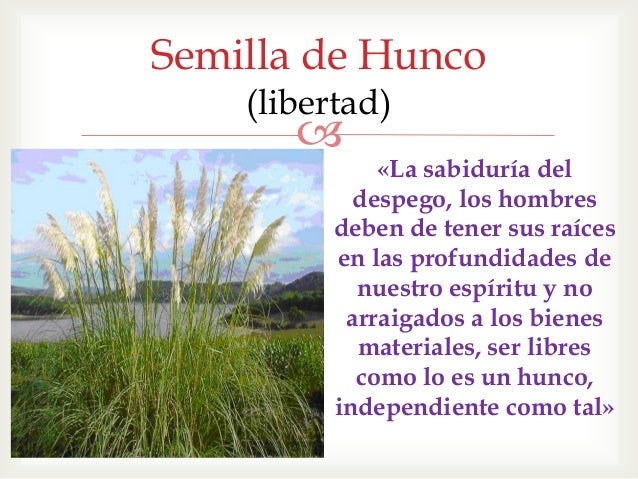 Hunco